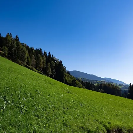 In Hollersbach With Mountain Views