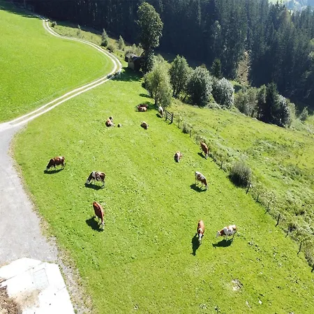 In Hollersbach With Mountain Views *