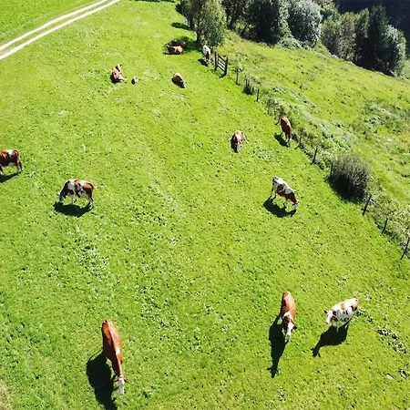 Διαμέρισμα In Hollersbach With Mountain Views *