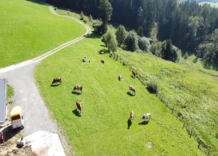 In Hollersbach With Mountain Views *