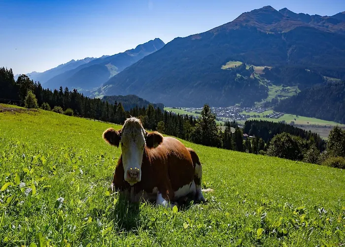 شقة In Hollersbach With Mountain Views