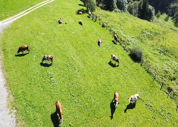 شقة In Hollersbach With Mountain Views *